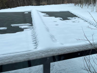 Weather Resistance Testing